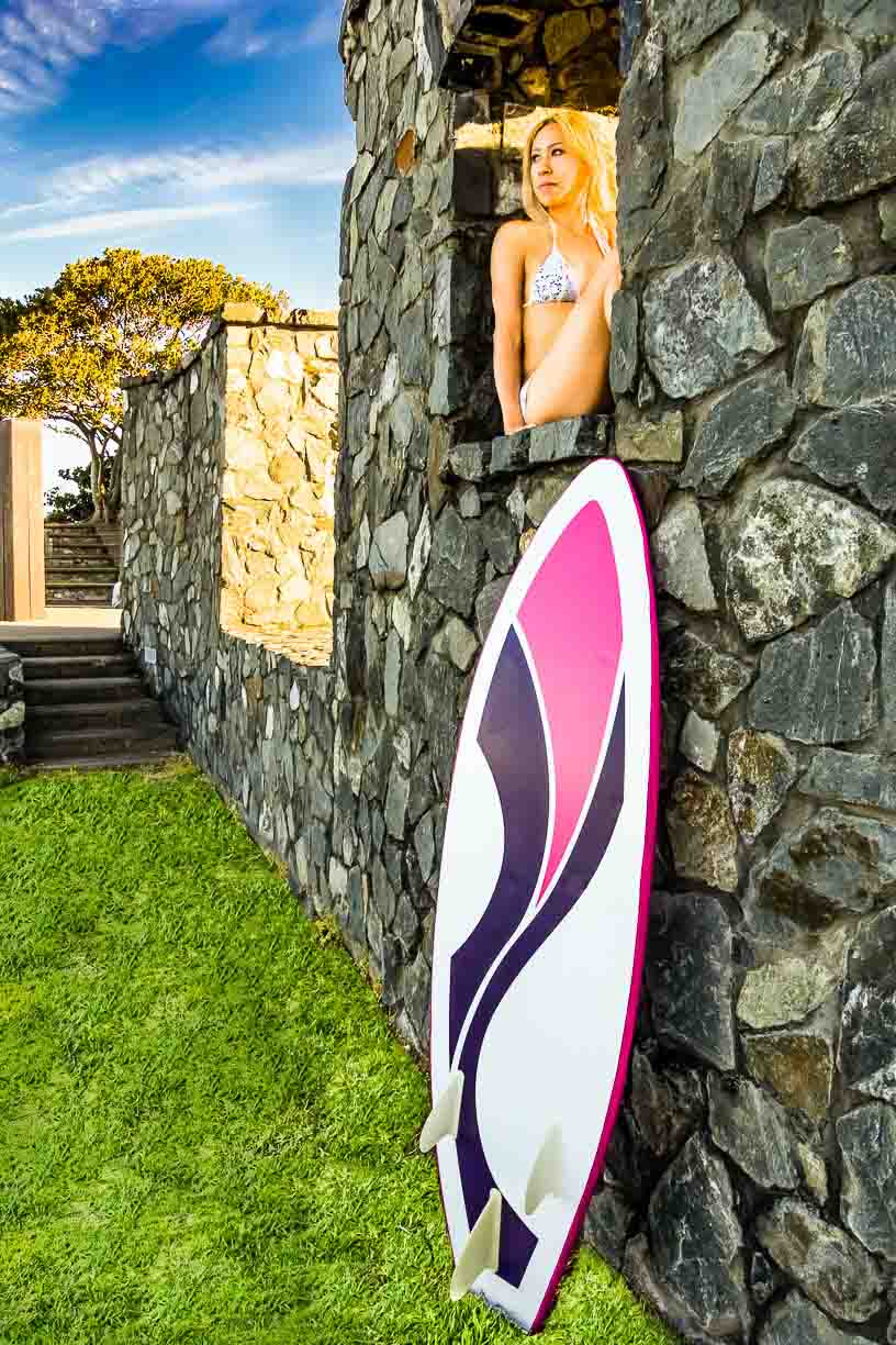 surfer wall